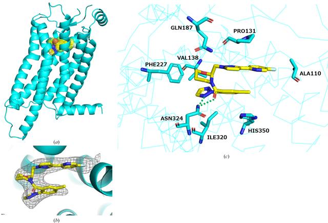 [Figure 2]