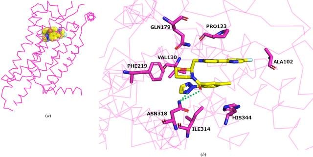 [Figure 3]