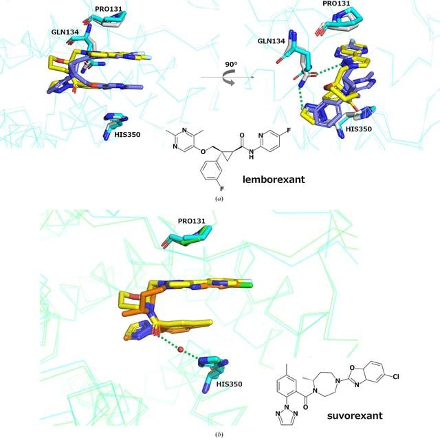 [Figure 4]