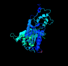 Highlighted illustration