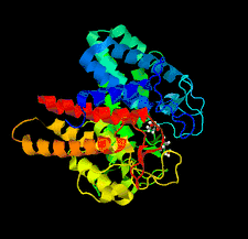 Highlighted illustration