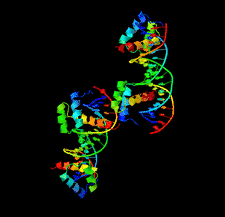 Highlighted illustration