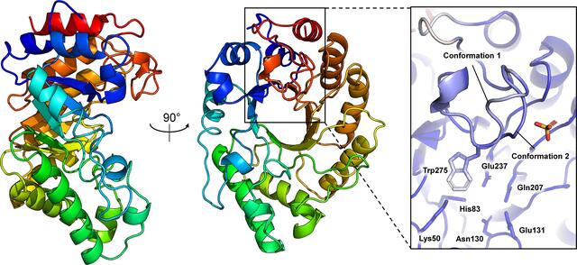 [Figure 1]