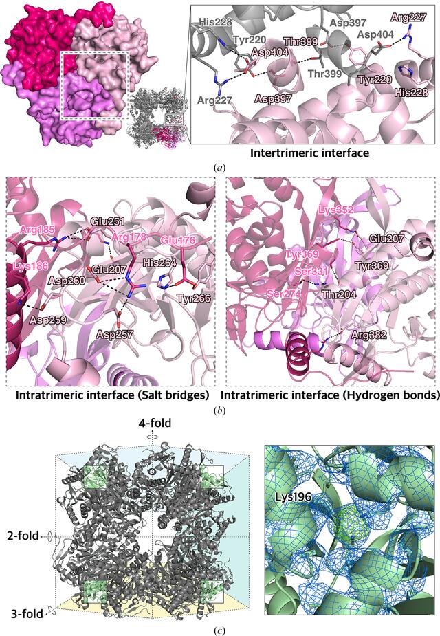 [Figure 1]