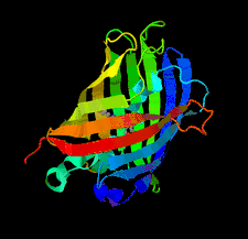 Highlighted illustration