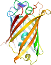 link to html
