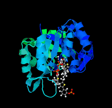 Highlighted illustration