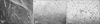 [Figure 1]