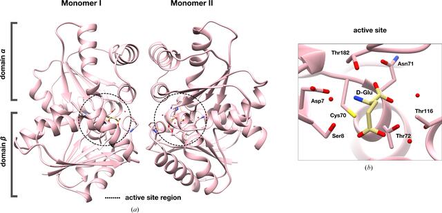 [Figure 2]