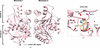 [Figure 2]
