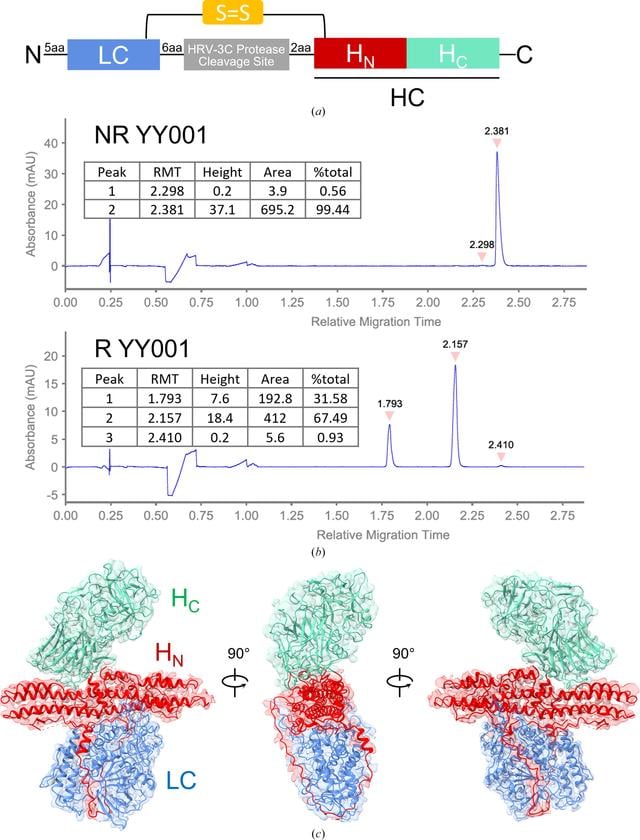 [Figure 1]