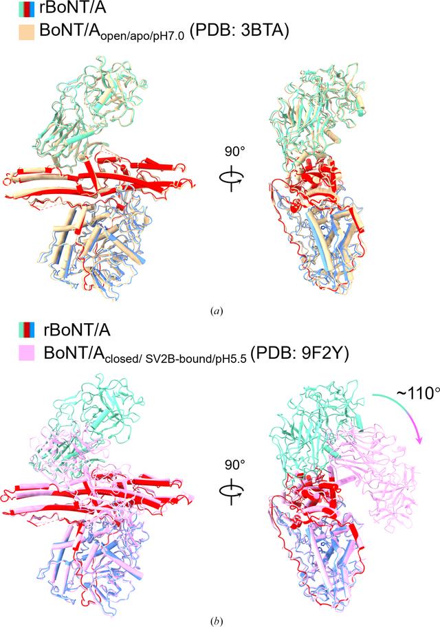 [Figure 2]