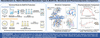 link to html