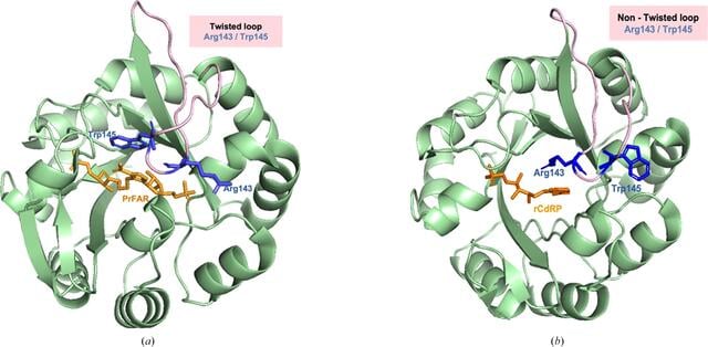 [Figure 2]