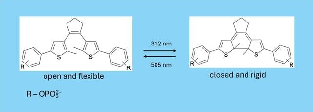 [Figure 3]