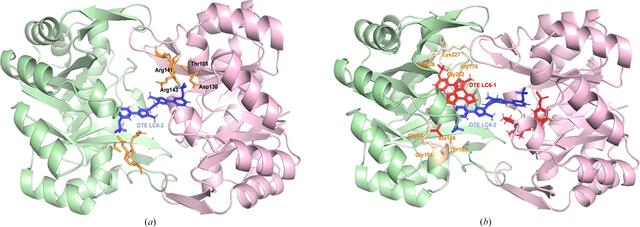 [Figure 6]