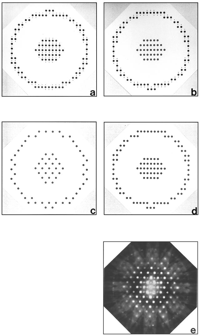 [Figure 5]