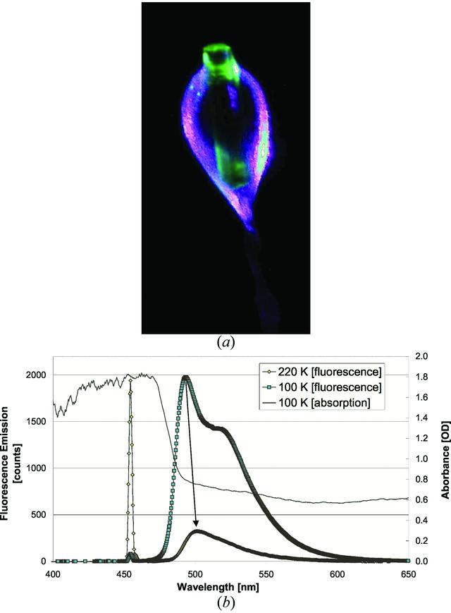 [Figure 3]