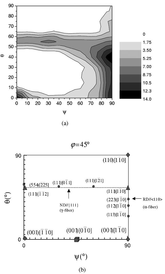 [Figure 5]