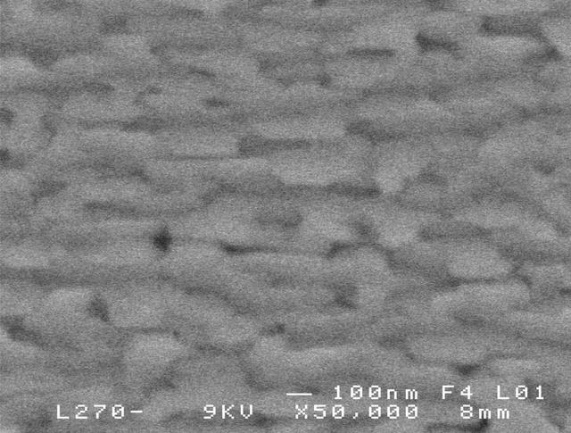 [Figure 6]