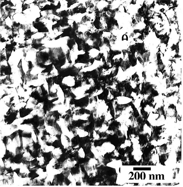 [Figure 2]