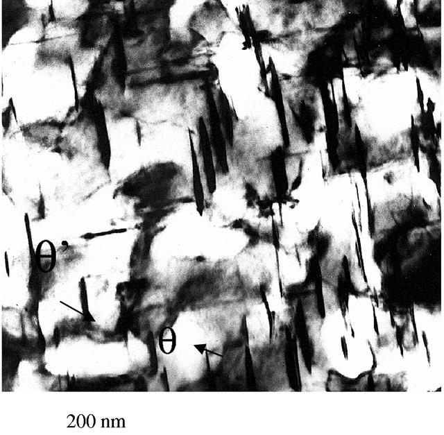 [Figure 4]