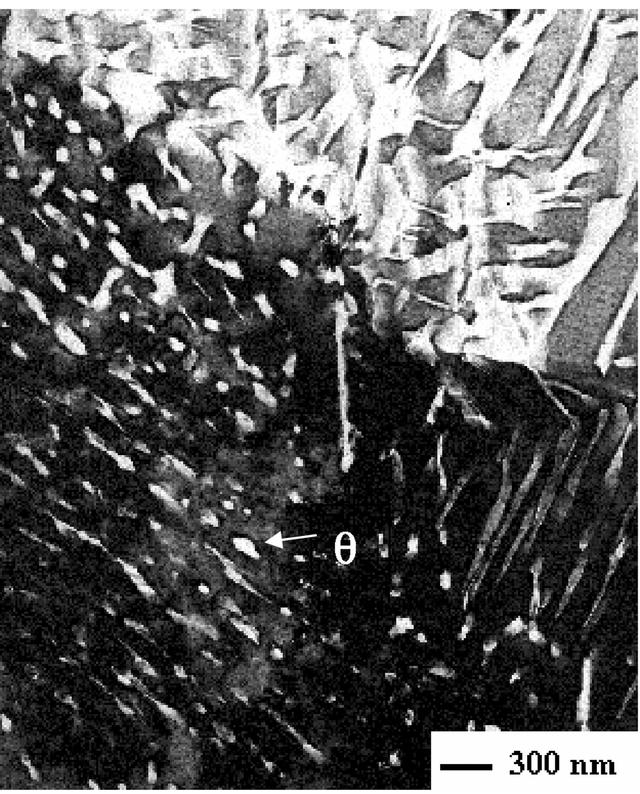 [Figure 7]