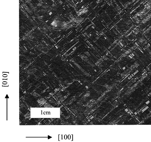 [Figure 2]