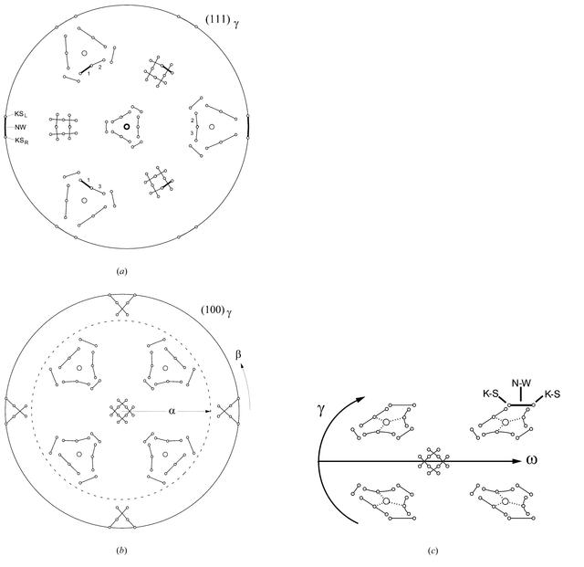 [Figure 4]