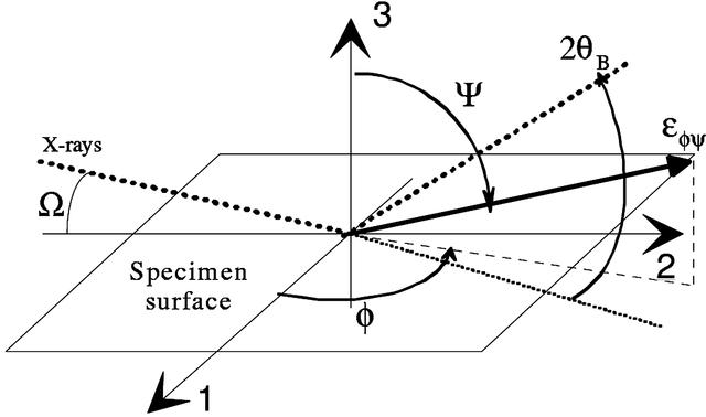 [Figure 1]