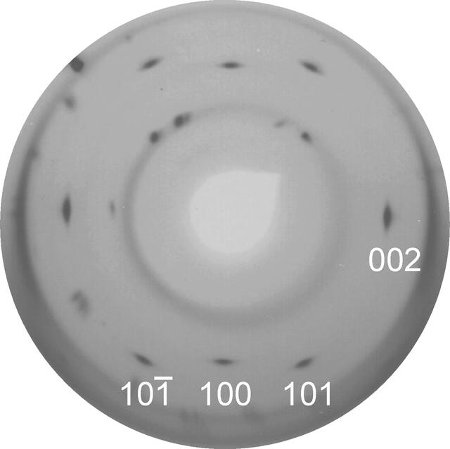 [Figure 4]