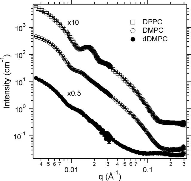 [Figure 6]
