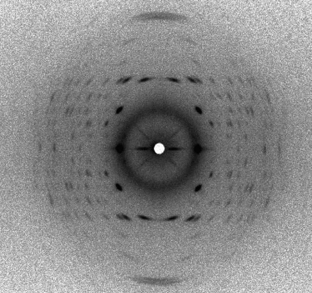 [Figure 1]