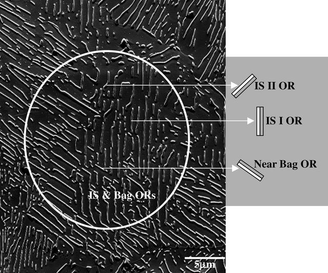 [Figure 1]