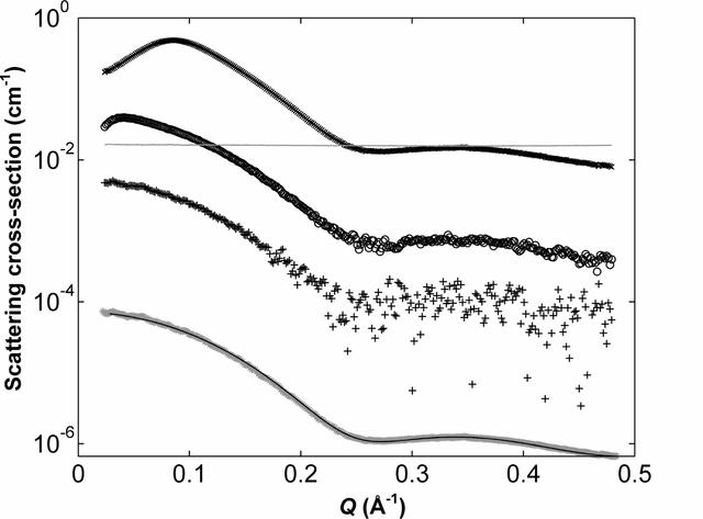 [Figure 3]