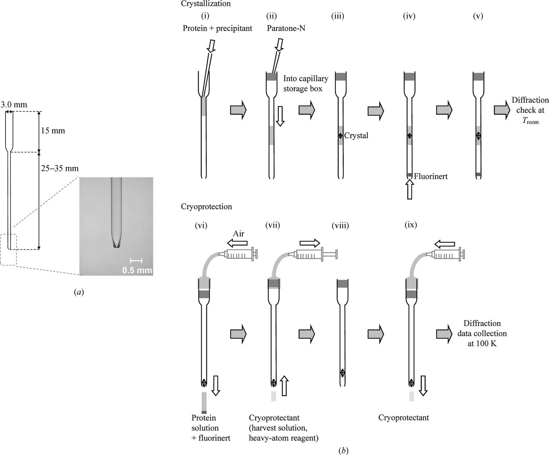 IUCr A Hands free Capillary System For Protein Crystallography From iucr-a-hands-free-capillary-system-for-protein-crystallography-from