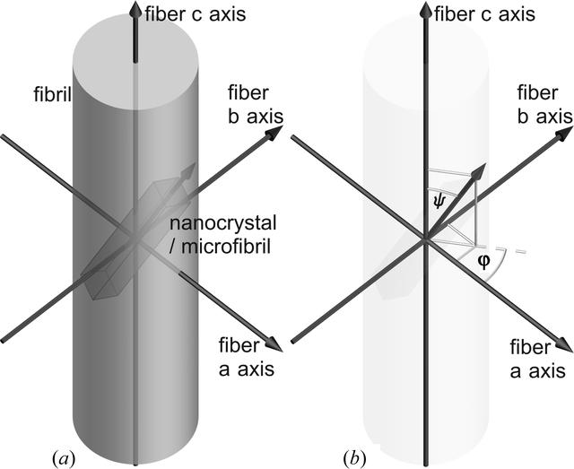 [Figure 3]