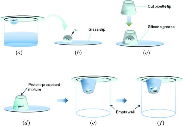 [Figure 1]