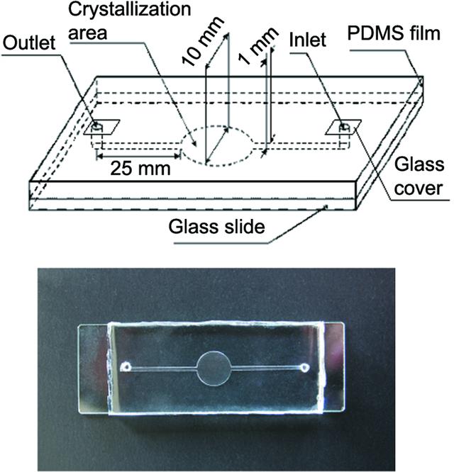 [Figure 1]