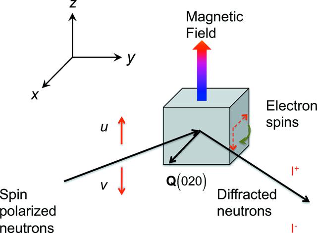 [Figure 1]