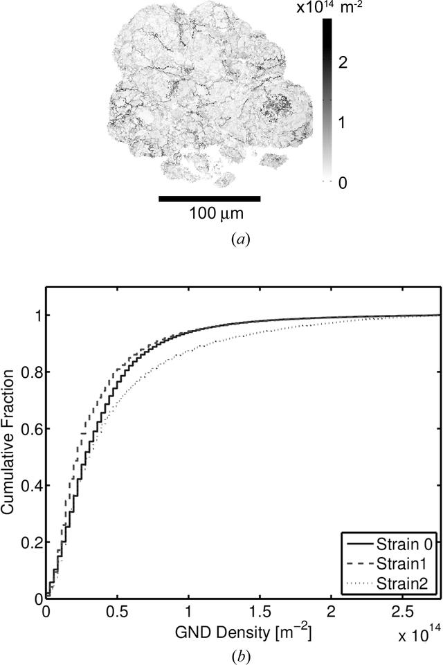 [Figure 7]