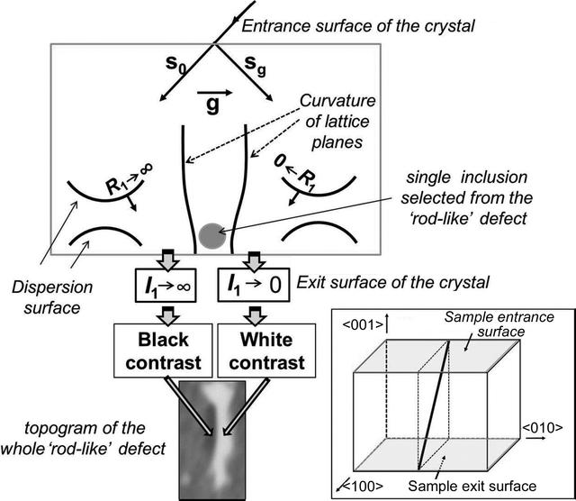 [Figure 7]