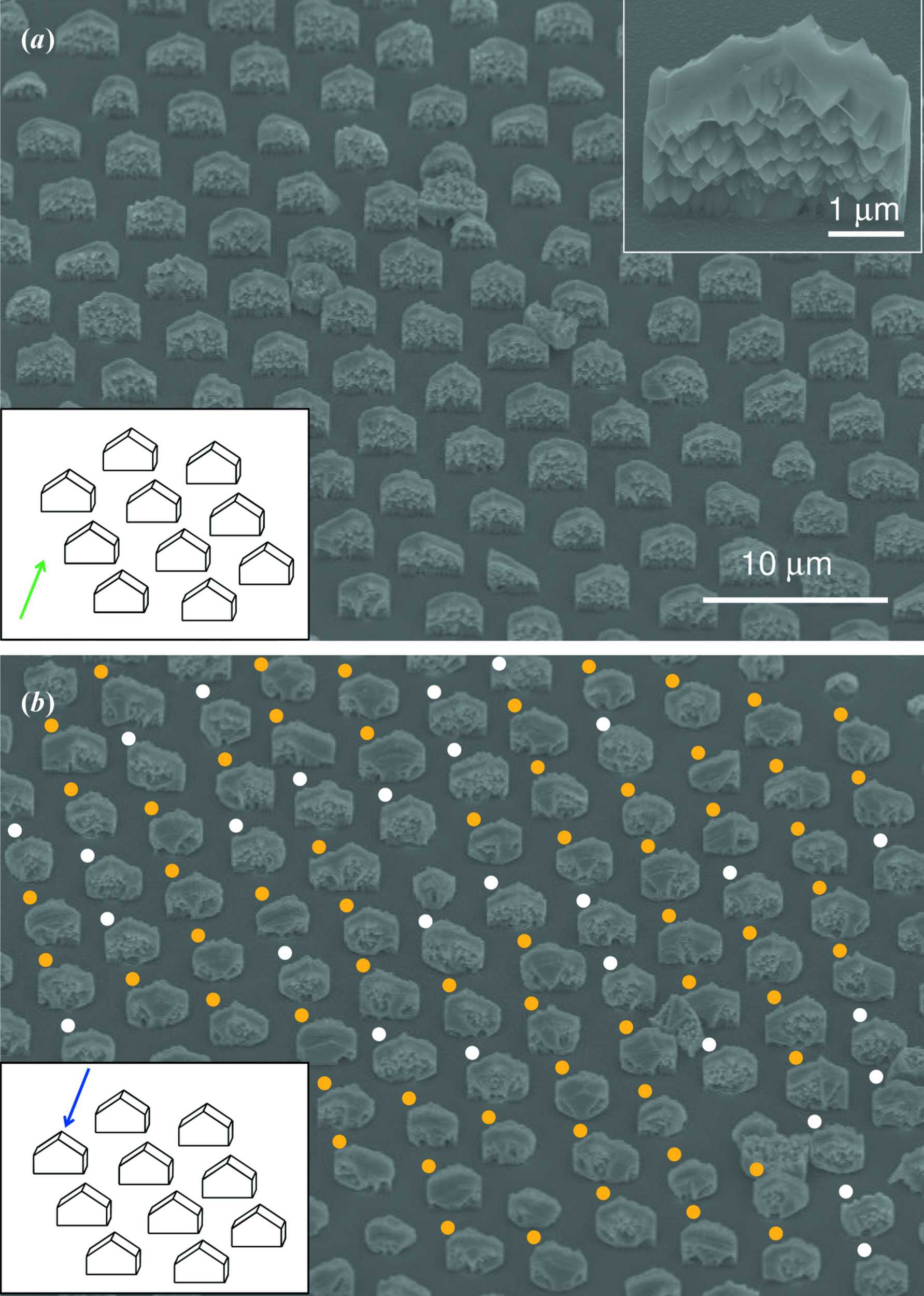 (IUCr) Spontaneous inversion of in-plane polarity of a -oriented GaN ...