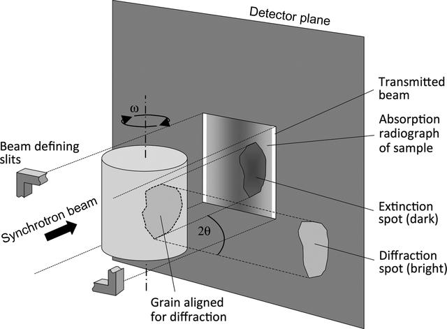 [Figure 1]