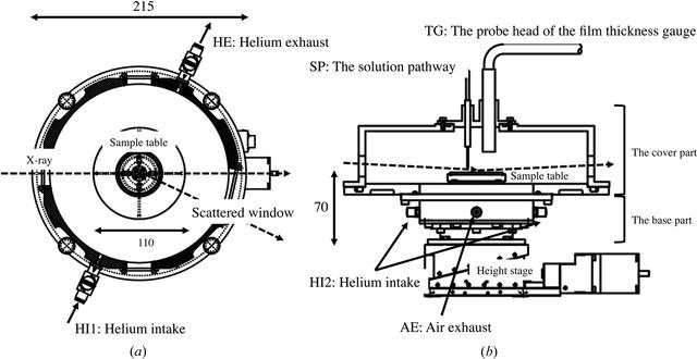 [Figure 1]