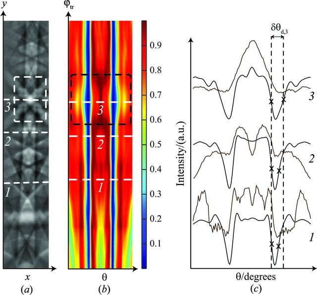 [Figure 12]