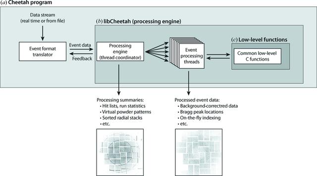 [Figure 10]