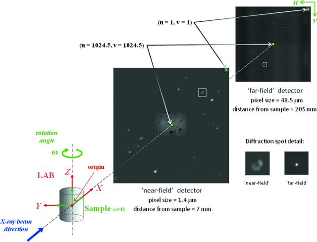 [Figure 1]