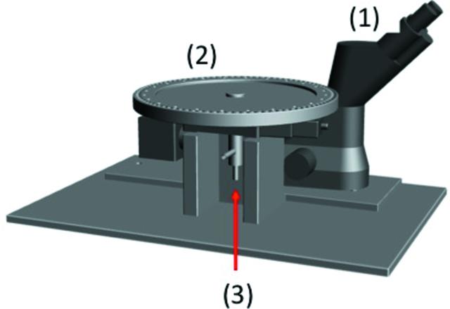 [Figure 3]