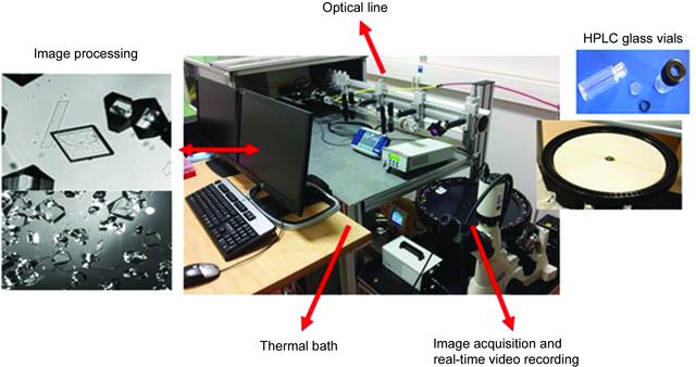 [Figure 4]